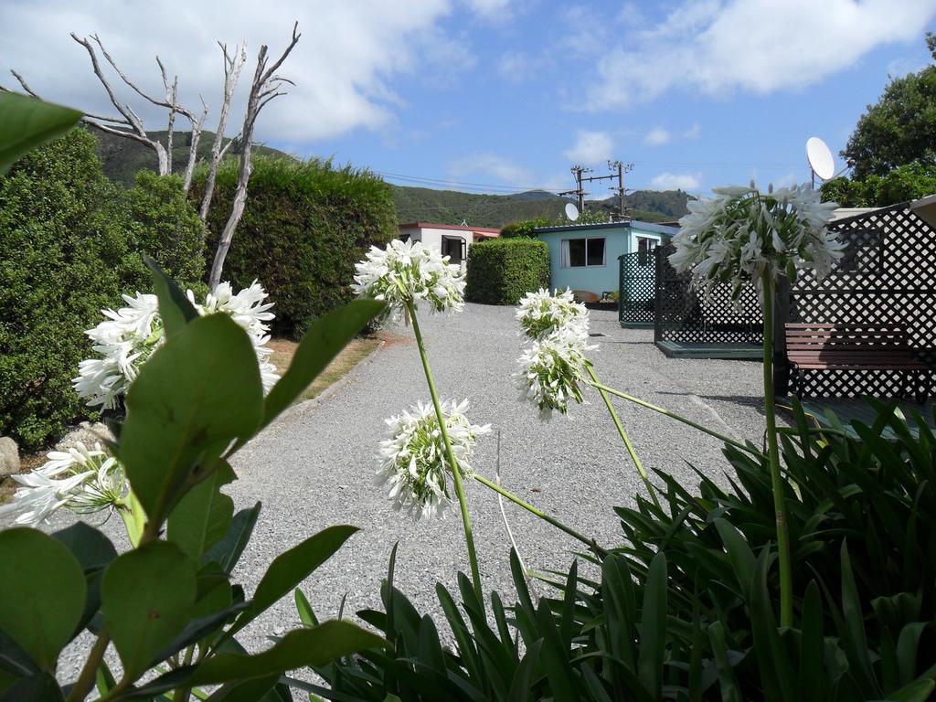 Picton'S Waikawa Bay Holiday Park المظهر الخارجي الصورة